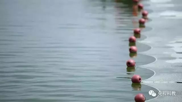 央視聚焦<a href=http://m.r1lxrhg.cn target=_blank class=infotextkey>雙良</a><a href=http://m.r1lxrhg.cn target=_blank class=infotextkey>新型光催化</a>“走進(jìn)科學(xué)”