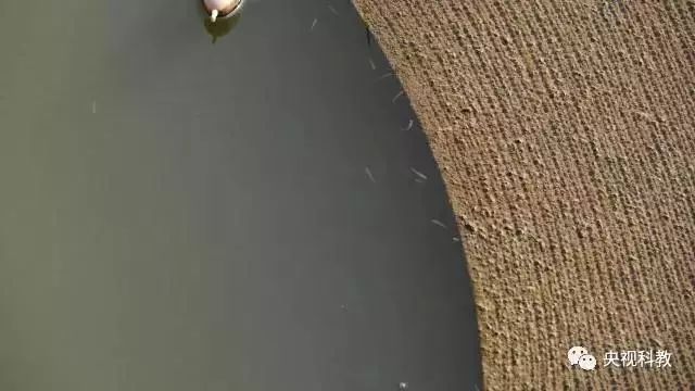 央視聚焦<a href=http://m.r1lxrhg.cn target=_blank class=infotextkey>雙良</a><a href=http://m.r1lxrhg.cn target=_blank class=infotextkey>新型光催化</a>“走進(jìn)科學(xué)”