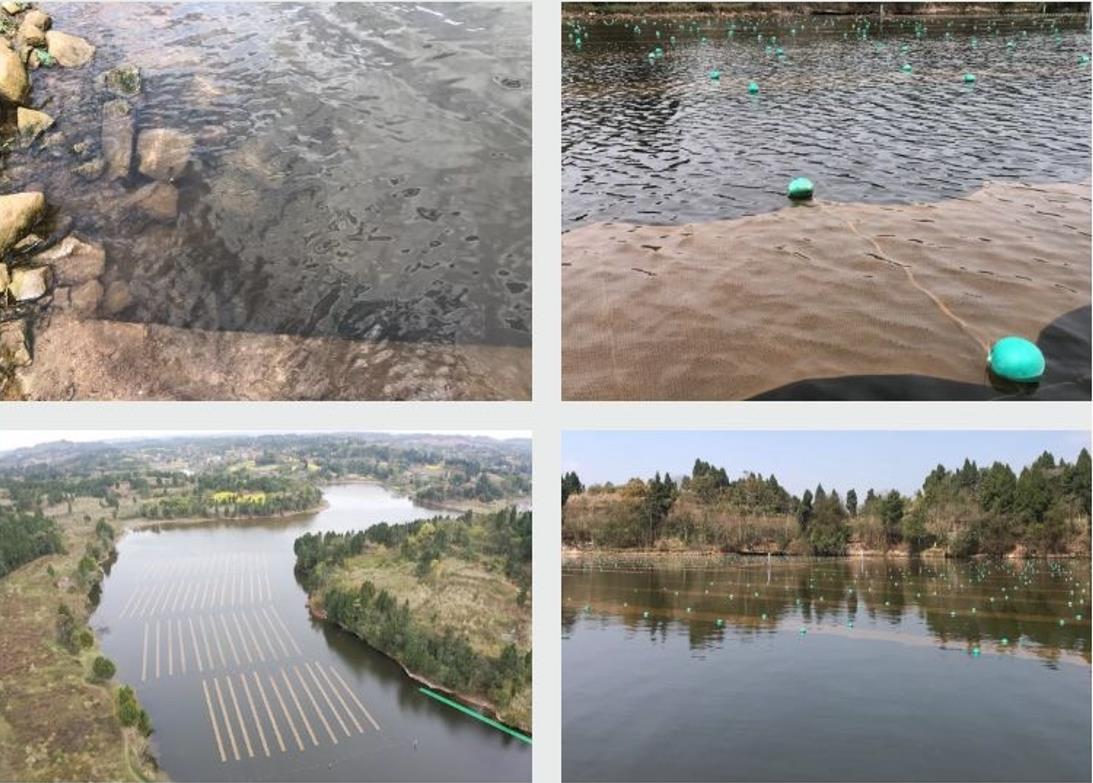 四川資陽市雁江區(qū)滴水巖水庫水體修復(fù)技術(shù)服務(wù)項目