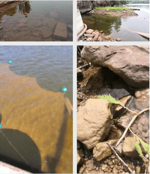 四川資陽市雁江區(qū)滴水巖水庫水體修復(fù)技術(shù)服務(wù)項目