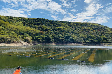長(zhǎng)弄堂水庫(kù)水源地光催化凈水治理工程