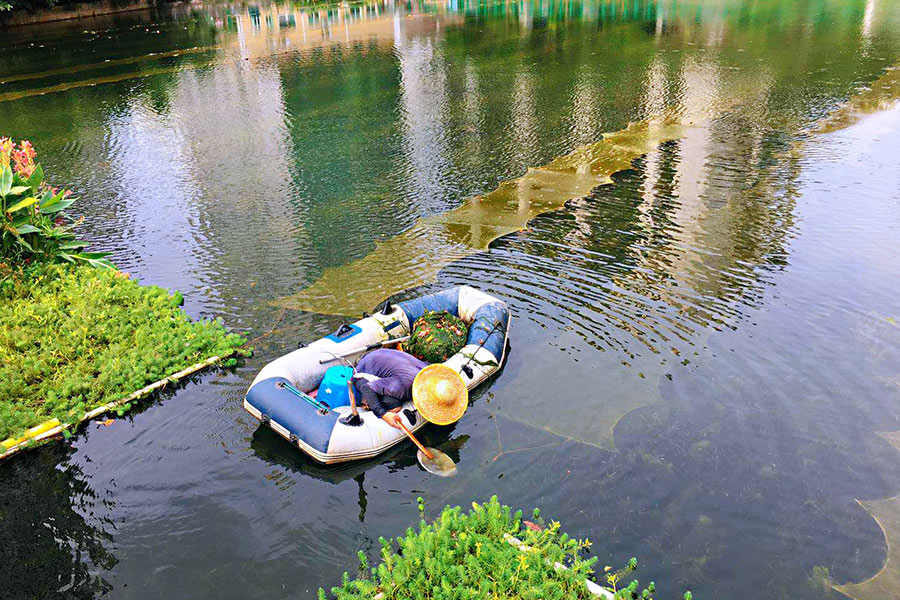 廣東省深圳市辛養(yǎng)魚塘-<a href=http://m.r1lxrhg.cn target=_blank class=infotextkey>水生態(tài)修復</a>示范項目