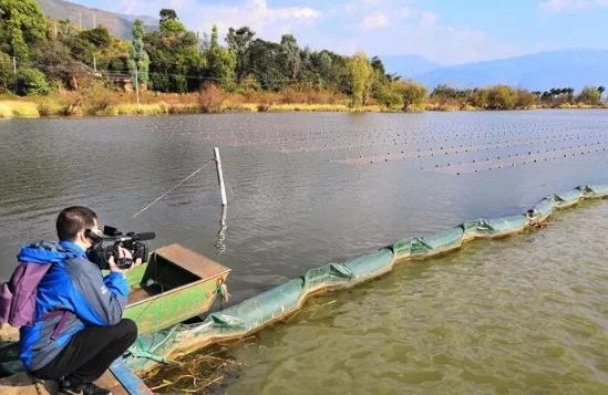 且看這個“不簡單的網(wǎng)”如何改善大理洱源<a href=http://m.r1lxrhg.cn target=_blank class=infotextkey>水生態(tài)修復(fù)</a>環(huán)境