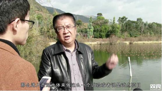 洱源西湖<a href=http://m.r1lxrhg.cn target=_blank class=infotextkey>水環(huán)境治理</a><a href=http://m.r1lxrhg.cn/hp/ target=_blank class=infotextkey>湖泊修復</a>碧水藍天