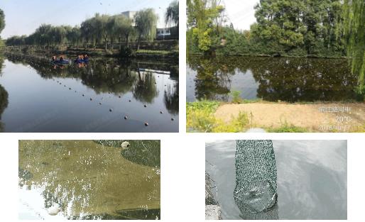 江陰市濱江河黑臭水體<a href=http://m.r1lxrhg.cn target=_blank class=infotextkey>河道治理</a>