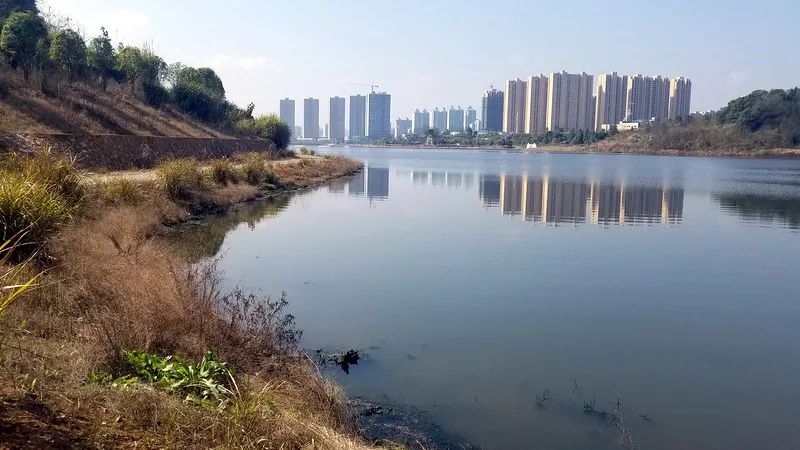 長興湖水<a href=http://m.r1lxrhg.cn target=_blank class=infotextkey>水環(huán)境治理</a>