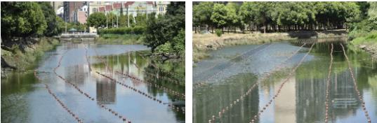贛州建春濕地公園分布式生態(tài)地埋式再生水處理工程的啟示