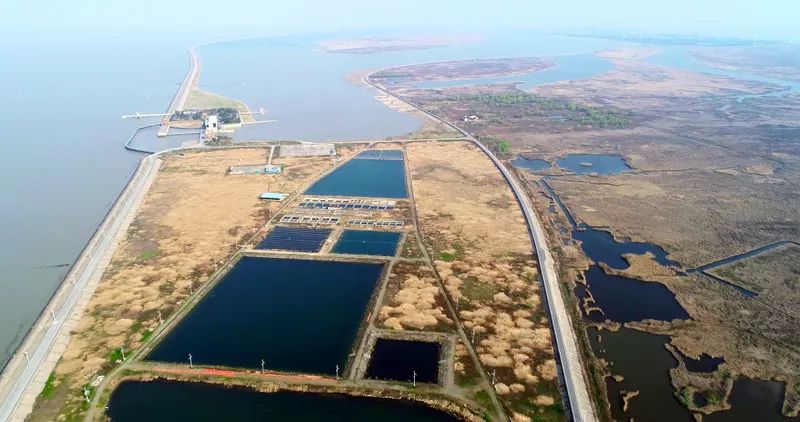 中國(guó)第一大城市飲用水<a href=http://m.r1lxrhg.cn/yysyd/ target=_blank class=infotextkey>水源地治理</a>技術(shù)突破