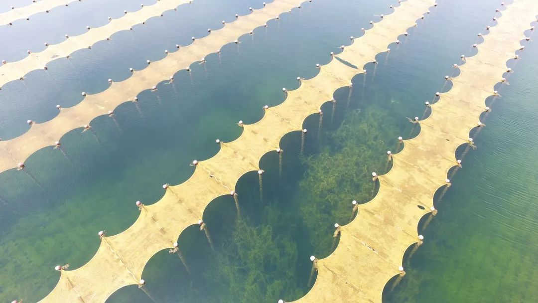 “光催化技術(shù)提升飲用水源地水質(zhì)工程應(yīng)用專家評審會”在上海科學(xué)會堂順利召開