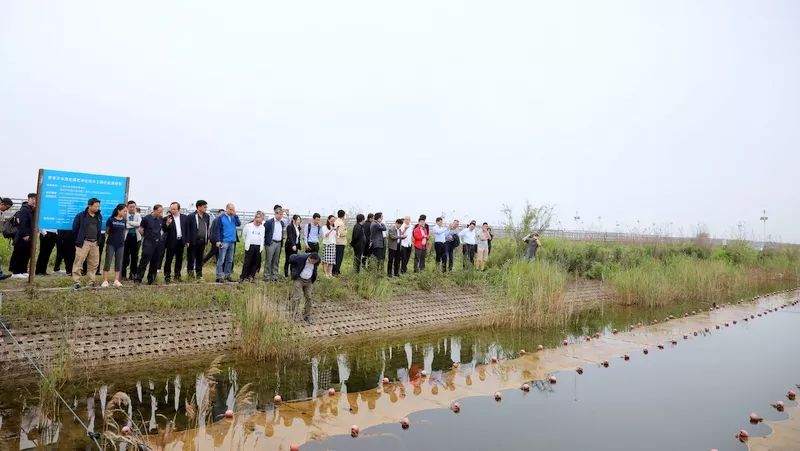 中國(guó)第一大城市飲用水<a href=http://m.r1lxrhg.cn/yysyd/ target=_blank class=infotextkey>水源地治理</a>技術(shù)突破