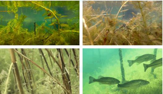 <a href=http://m.r1lxrhg.cn/yysyd/ target=_blank class=infotextkey>水源地治理</a>