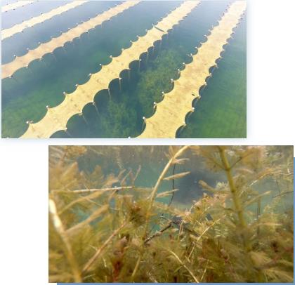 <a href=http://m.r1lxrhg.cn target=_blank class=infotextkey><a href=http://m.r1lxrhg.cn target=_blank class=infotextkey>雙良</a>環(huán)境</a><a href=http://m.r1lxrhg.cn target=_blank class=infotextkey>新型光催化</a>技術(shù)率先打響“抗生素戰(zhàn)役