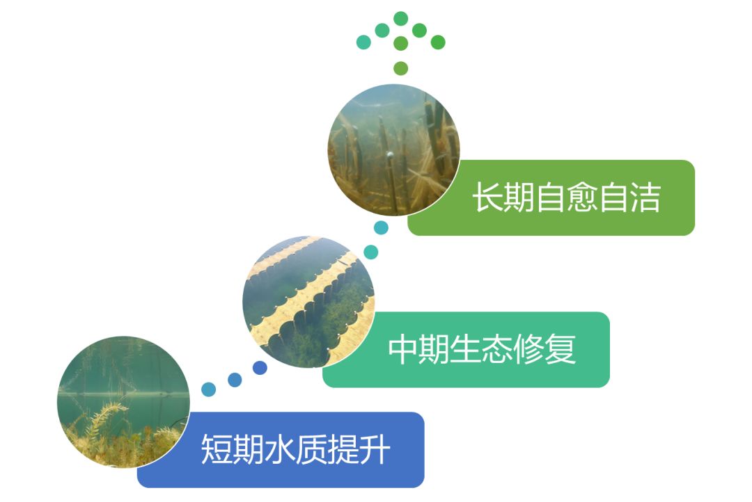 2020<a href=http://m.r1lxrhg.cn target=_blank class=infotextkey><a href=http://m.r1lxrhg.cn target=_blank class=infotextkey>雙良</a>環(huán)境</a>春招開啟