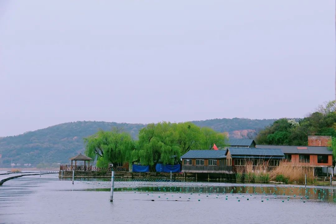 “尋找雙良環(huán)境最美春天”攝影活動(dòng)圓滿結(jié)束！