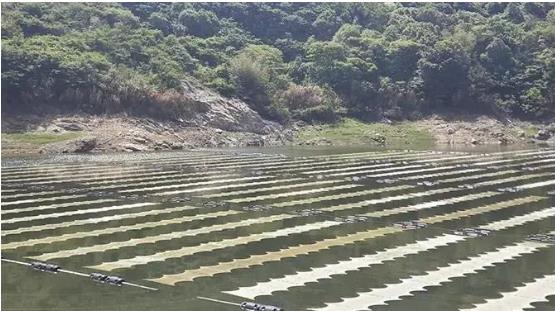 <a href=http://m.r1lxrhg.cn target=_blank class=infotextkey><a href=http://m.r1lxrhg.cn target=_blank class=infotextkey>雙良</a>環(huán)境</a><a href=http://m.r1lxrhg.cn target=_blank class=infotextkey>新型光催化</a>技術(shù)幫助嵊泗提升水庫水質(zhì)