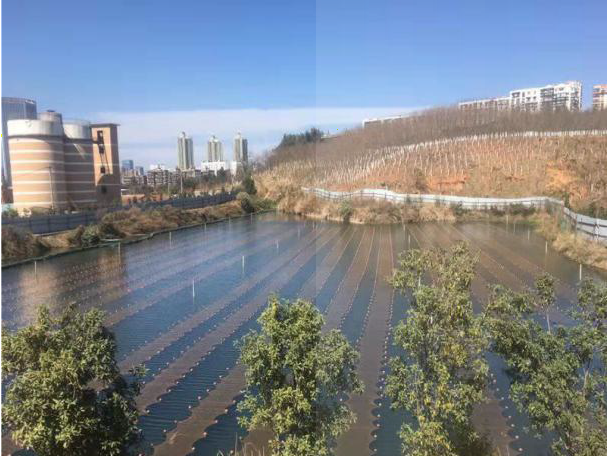 科普小課堂第18期 | 城市河流污染治理技術（二）