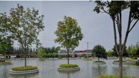 城市河流污染治理技術（二）