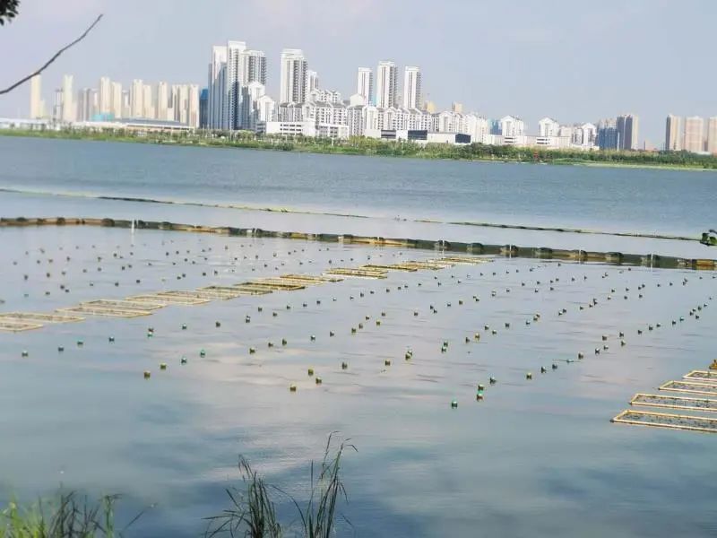 <a href=http://m.r1lxrhg.cn target=_blank class=infotextkey><a href=http://m.r1lxrhg.cn target=_blank class=infotextkey>雙良</a>環(huán)境</a>乘風(fēng)破浪的三石弟弟