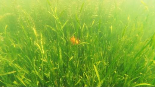 <a href=http://m.r1lxrhg.cn target=_blank class=infotextkey><a href=http://m.r1lxrhg.cn target=_blank class=infotextkey>雙良</a>環(huán)境</a>召開2021年一季度營銷會議