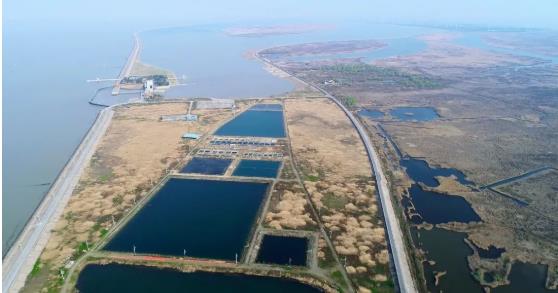 改善<a href=http://m.r1lxrhg.cn target=_blank class=infotextkey>水環(huán)境修復(fù)</a>水生態(tài)是我們的使命！