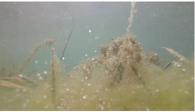 肇慶七星巖里湖地表水生態(tài)修復(fù)為全省二十個(gè)范例中城市湖泊水生態(tài)修復(fù)領(lǐng)域唯一榮獲“廣東省首屆國土空間生態(tài)修復(fù)十大范例”提名項(xiàng)目