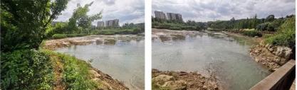 景區(qū)景觀湖水生態(tài)修復(fù)工程進展