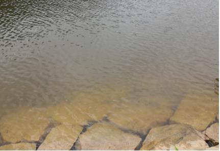 北京全面啟動(dòng)水生態(tài)監(jiān)測