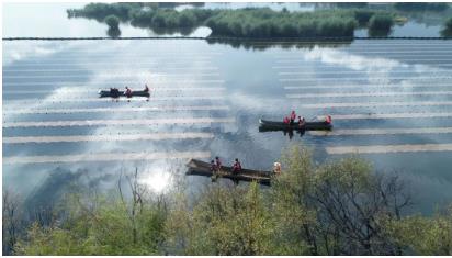 景觀區(qū)竟是"黑臭水體"原來是景觀水源地經過修復