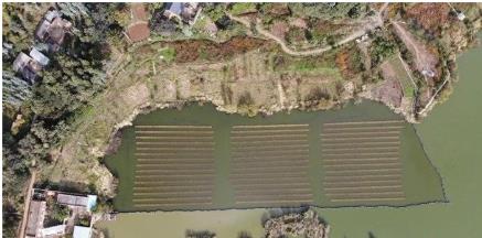 漳州：整治黑臭水體 實現岸綠景美