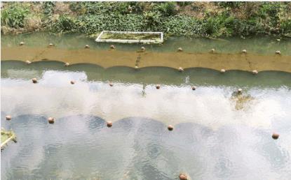 化成水庫(kù)治理：污水直排問題整改不力 反彈更嚴(yán)重