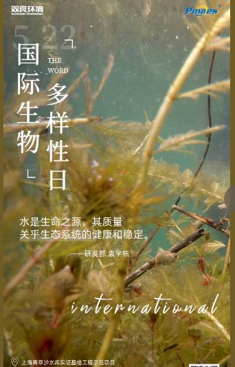 5.22生物多樣性日｜共護(hù)碧水清波，共建和諧生態(tài)！